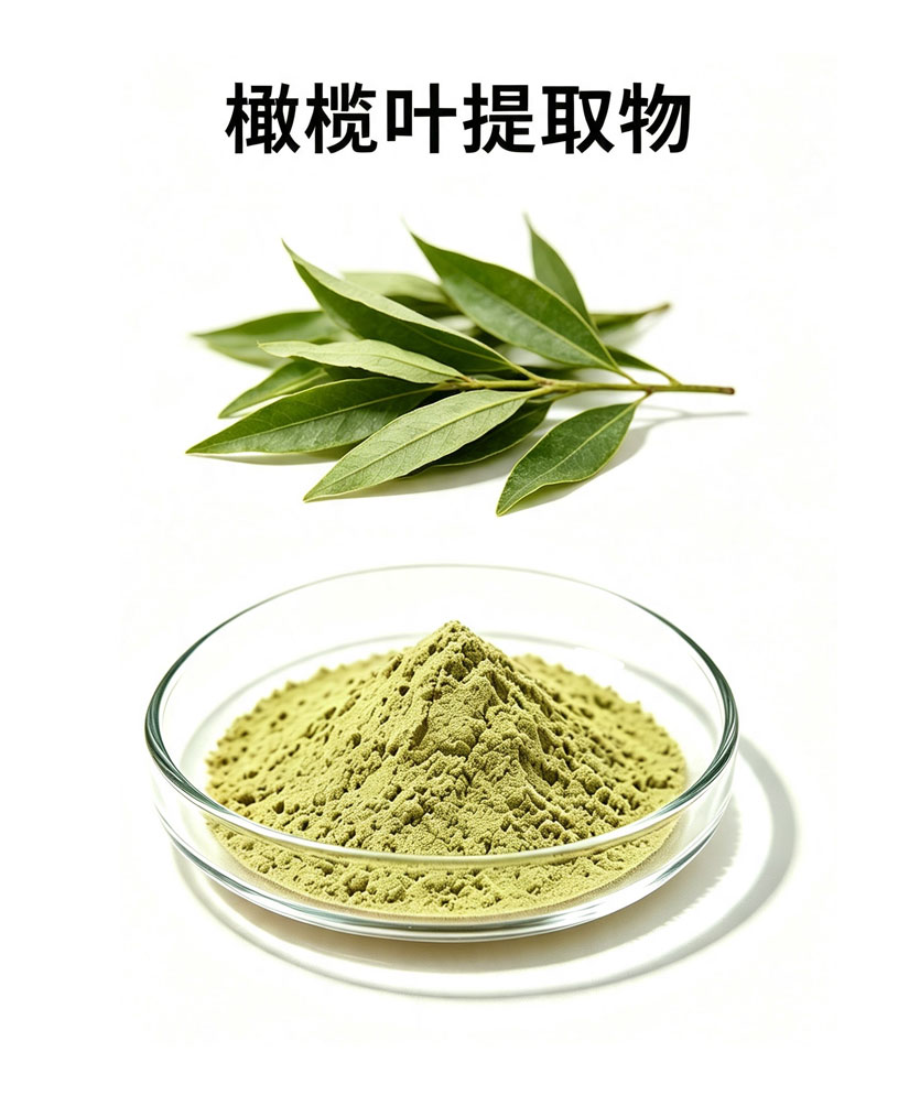 橄榄叶提取物